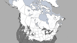 This image shows snow covering nearly half of the U.S. and most of Canada on March 26, 2013.