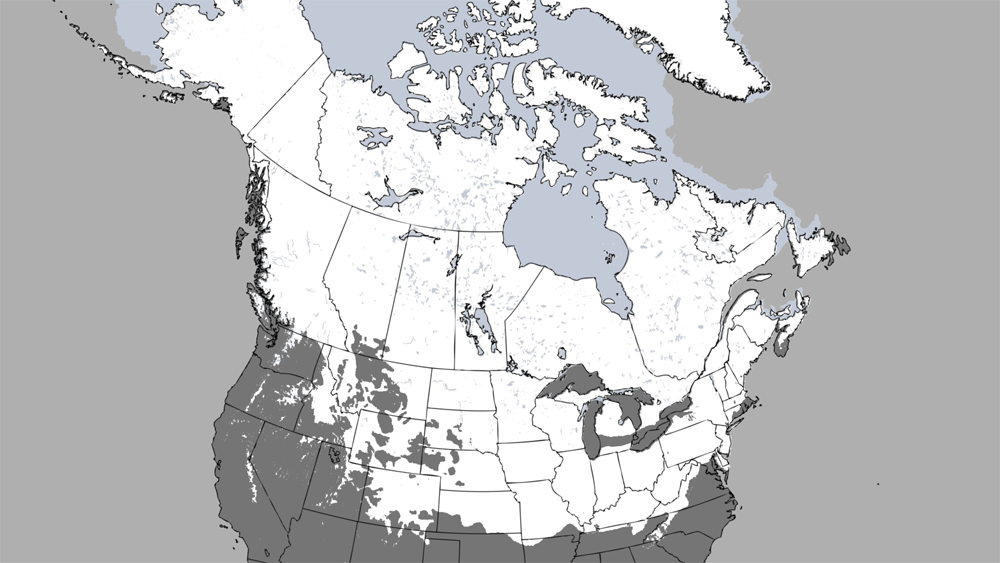 This image shows snow covering nearly half of the U.S. and most of Canada on March 26, 2013.