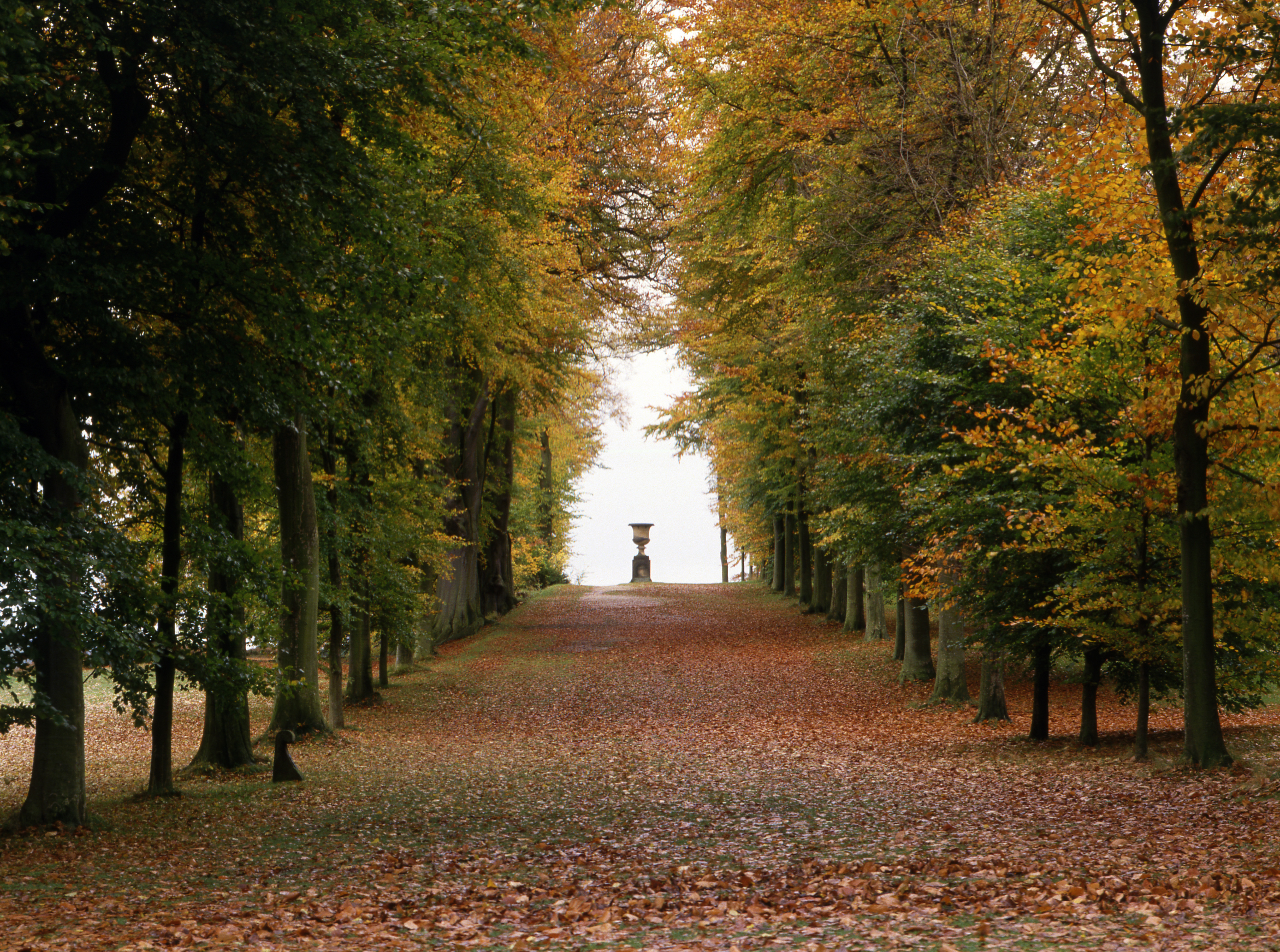 Chatsworth puts on a magical Autumn display
