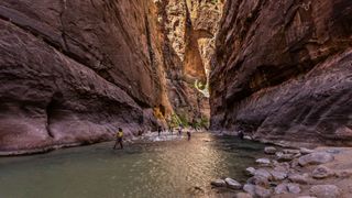 Hiking in The Narrows, Zion