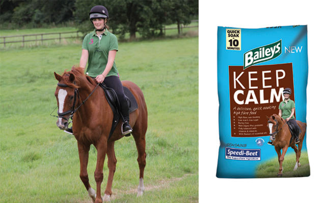 Bailey---Keep-Calm
