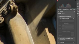 Adobe Camera Raw screenshot, showing the Optics tab with 'Remove chromatic aberration' ticked