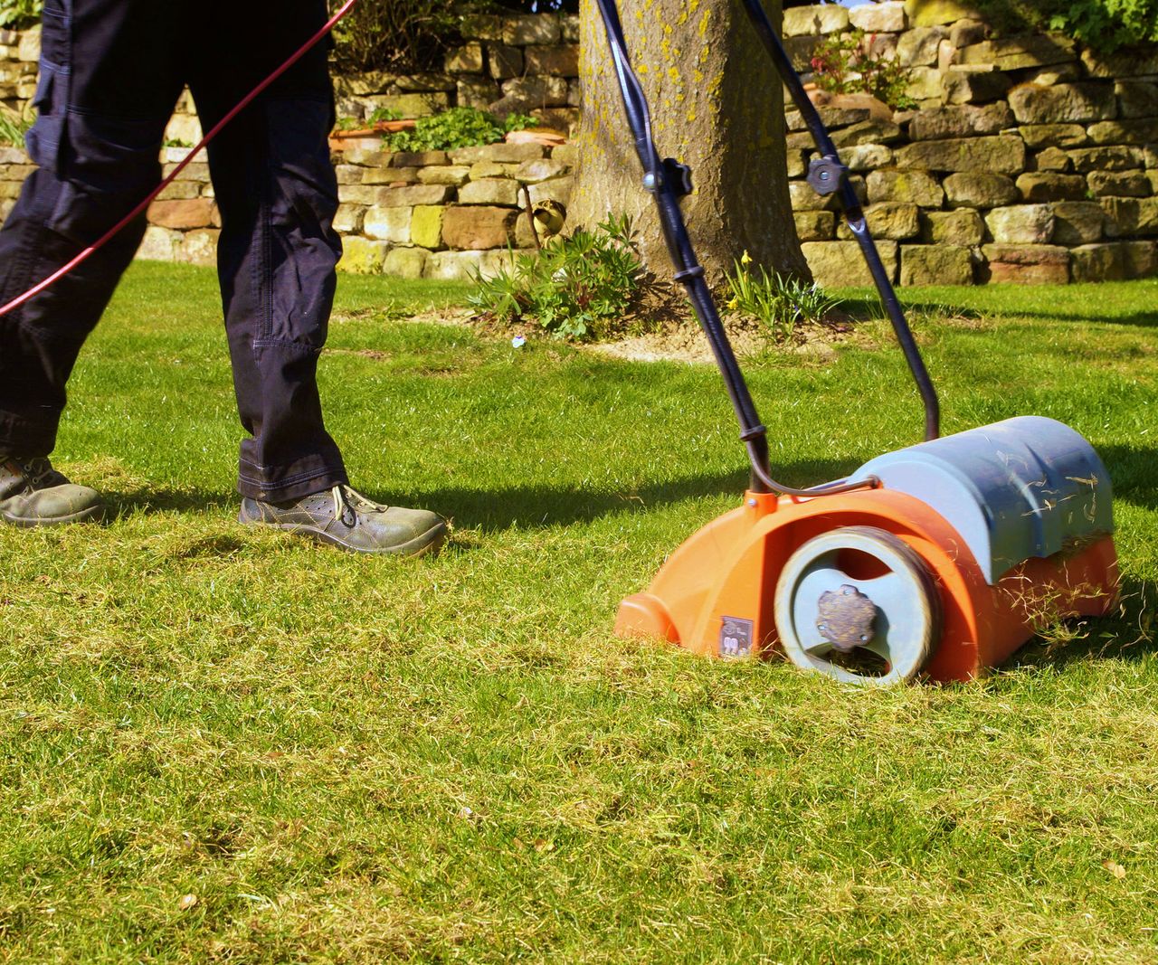 Scarifying vs dethatching: experts explain the differences | Homes ...