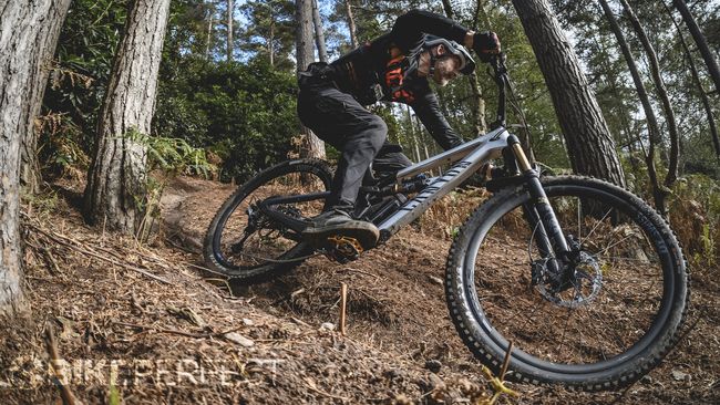 best full suspension trail bike 2019