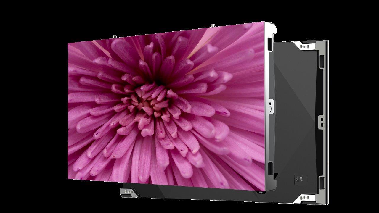 A beautiful and detailed purple flower on an immersive display.
