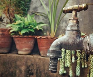 An up-close look at a garden tap with container plants behind