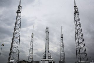 SpaceX's Falcon 9 Rocket on the Pad