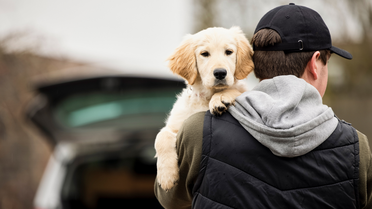 Man carrying a dog over his shoulder walking towards a car