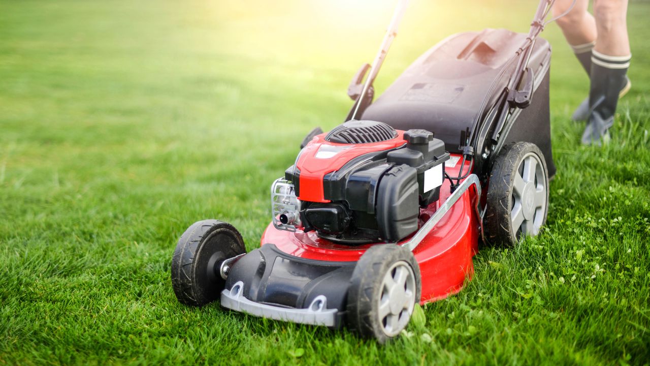 This is the reason why your lawn mower grass cuttings are clumping — and the simple fix to solve it