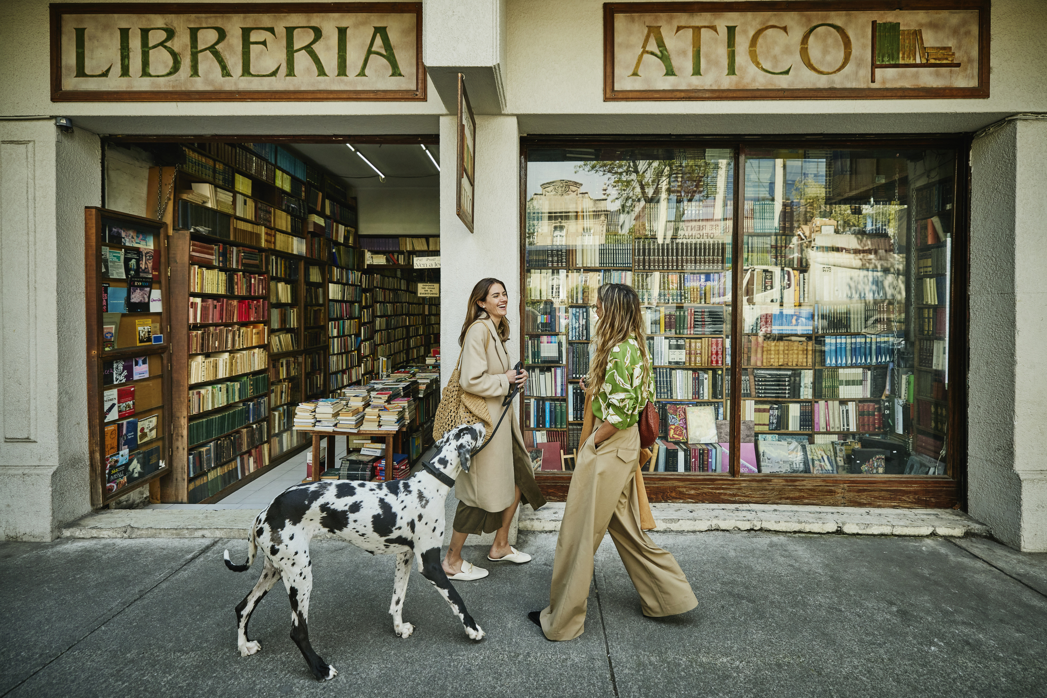 A woman walking a great dane dog in Mexico City.