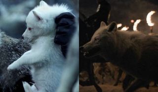 Game of Thrones Ghost Then and Now