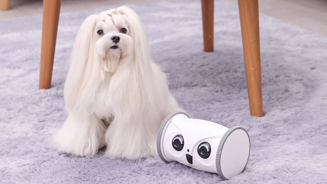 skymee owl robot