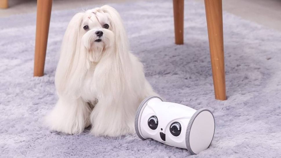 Skymee Owl Robot review PetsRadar