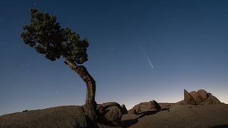 a bright white, fuzzy streak in the night sky