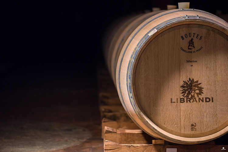 librandi_cantina_-_ph_luca_savettiere-2.jpg