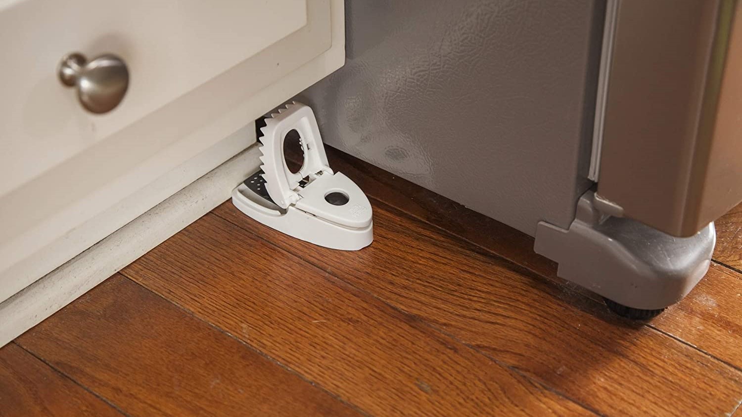 best mouse trap