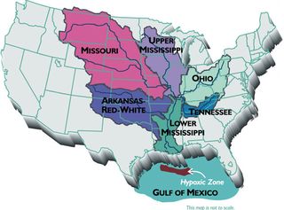 Gulf of Mexico Dead Zone Map