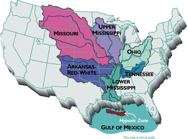 Gulf of Mexico Dead Zone Map