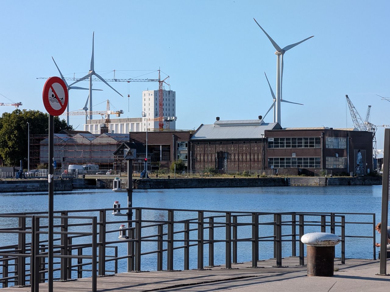 Google Pixel 10 voorbeeldfoto