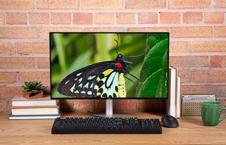 dell lcd butterfly