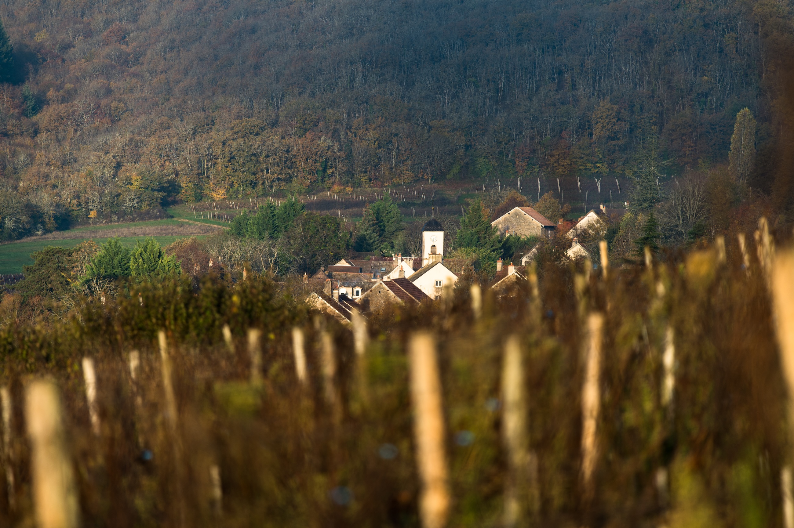 Vue de l&amp;rsquo;&amp;eacute;glise Saint Pierre &amp;agrave; B&amp;eacute;vy dans les Hautes-C&amp;ocirc;tes-de-Nuits