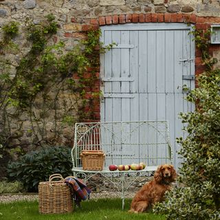 garden area with blue colour wooden door and fruit basket and dog