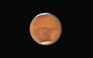 A rusty red planet with white patches at the poles.