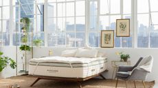 Avocado Mattress Topper on a bed against white walls and windows with a view of the city.