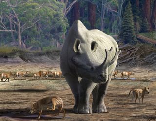 Artist representation showing a large rhino-like animal on a North American plain with smaller mammals and trees in the background