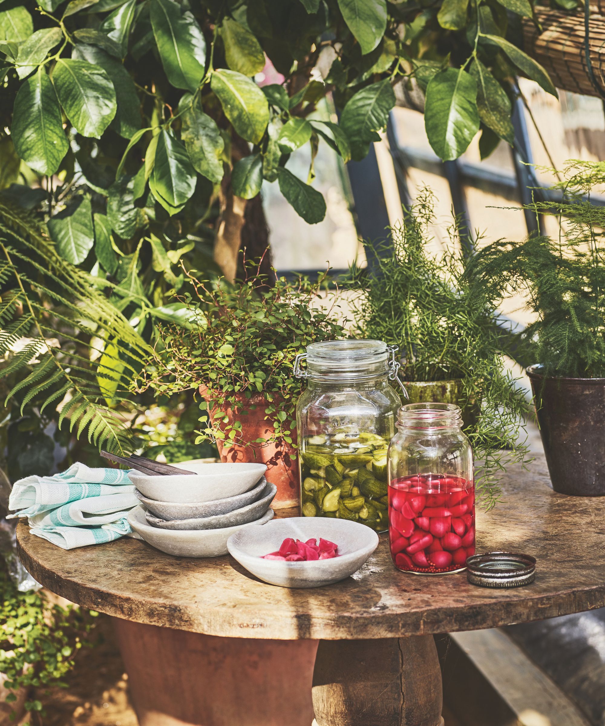 Pickled cucumber and radishes