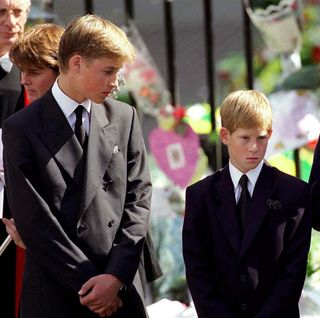 Prince Harry and Prince William attend Princess Diana's funeral