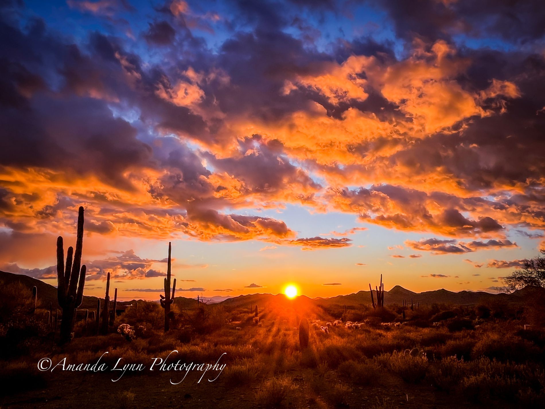 GuruShots March 2026