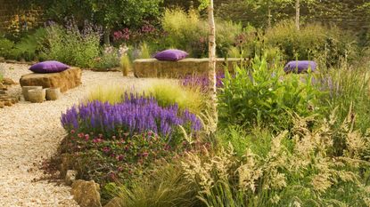 Drought tolerant plants and a gravel path with purple pillows on benches 