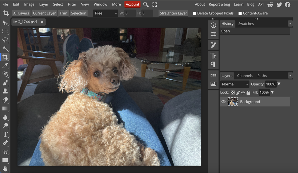 Best free photo editing apps in 2025 | iMore