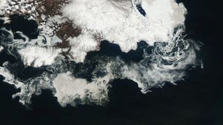 A satellite image showing swirling white ice off the coast of a snow covered land mass