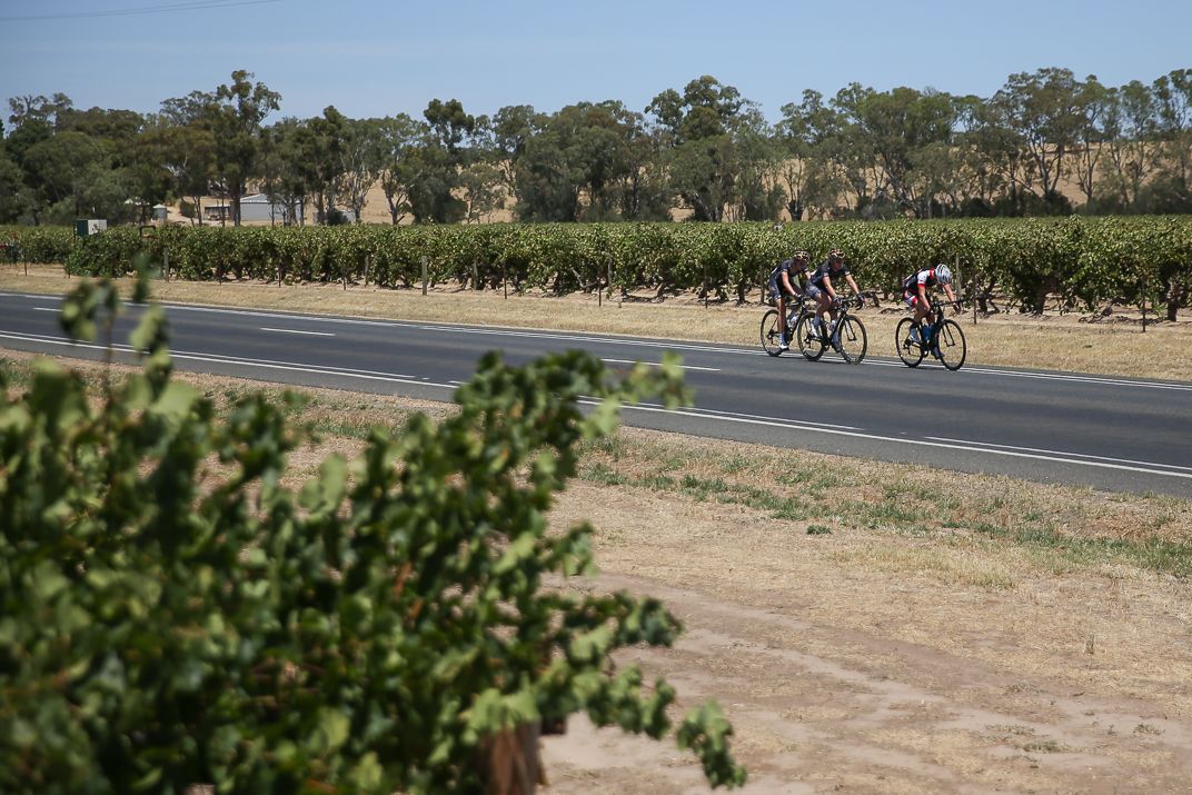 Riding through the vineyards