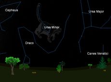 ursid meteor shower ursa minor 2011