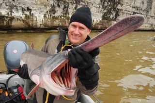 barr-paddlefish-110105-02