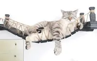 CatastrophiCreations Cat Mod Wall Mounted Cat Bridge Shelf
| RRP: $190.48 | Now: $95.24. | Save: $95.24 (50% - discount applied at checkout) at Chewy
