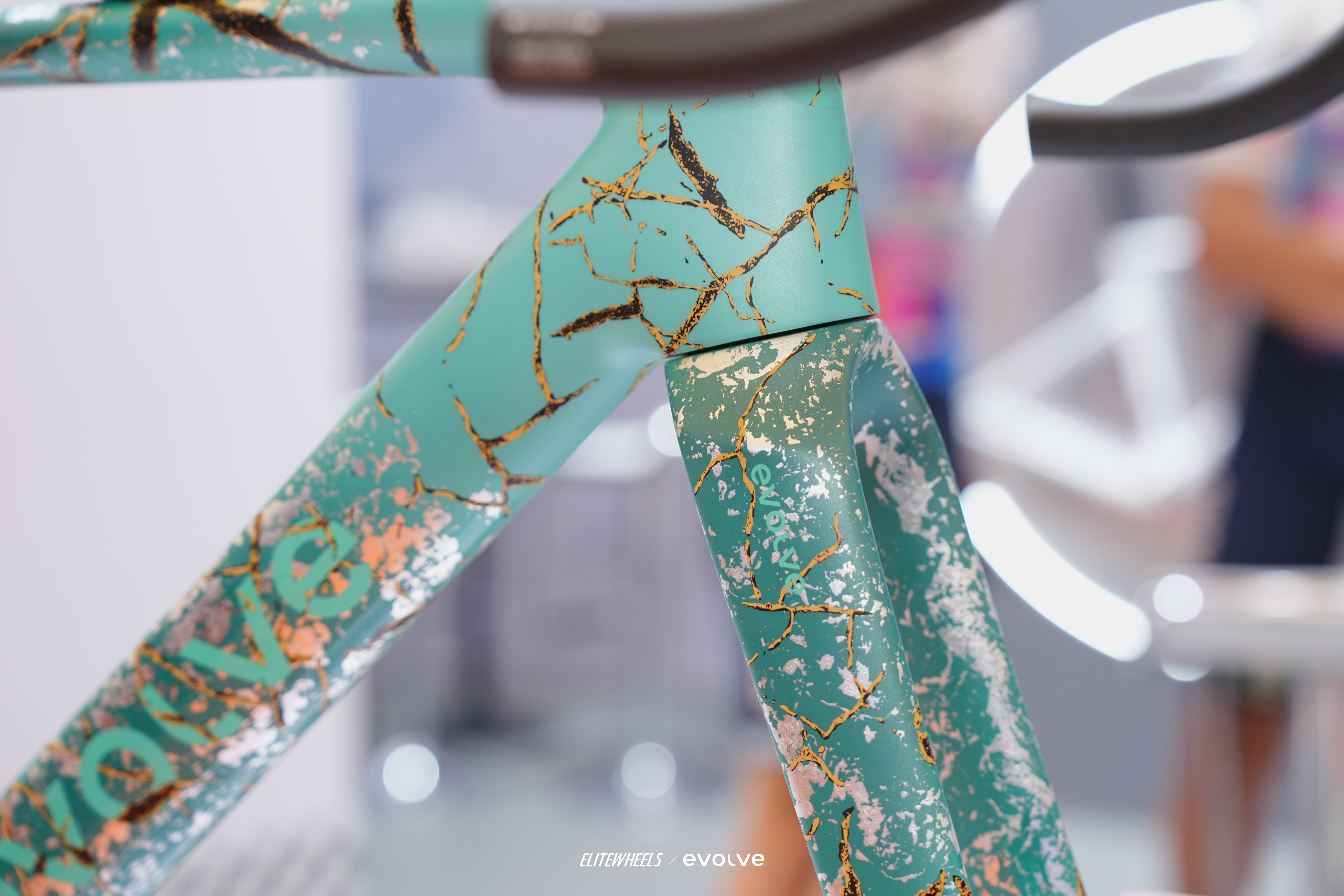 A close up of an evolve gravel bike