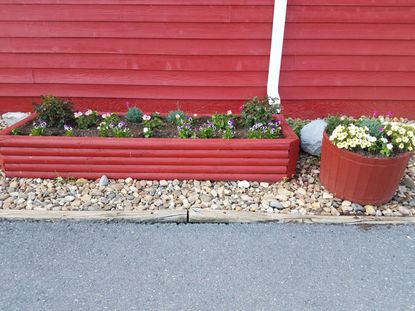 Red Rain Gutter Container Garden Filled With Plants