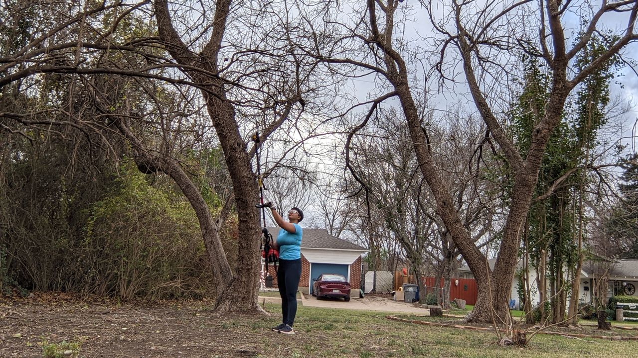 TroyBilt TB25PS 25cc 8inch pole saw review Gardeningetc