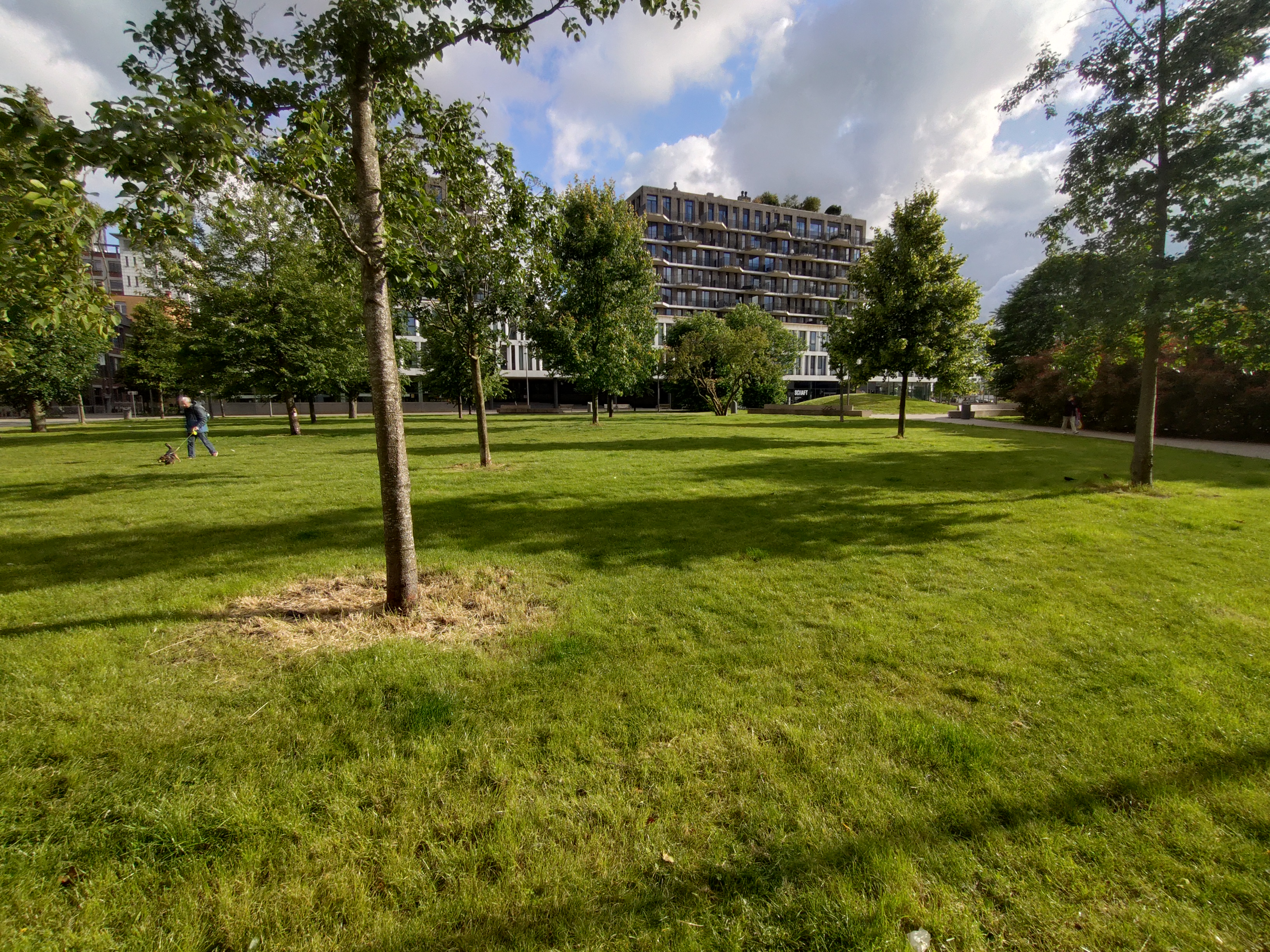 Sony Xperia 10 VI cameravoorbeeld