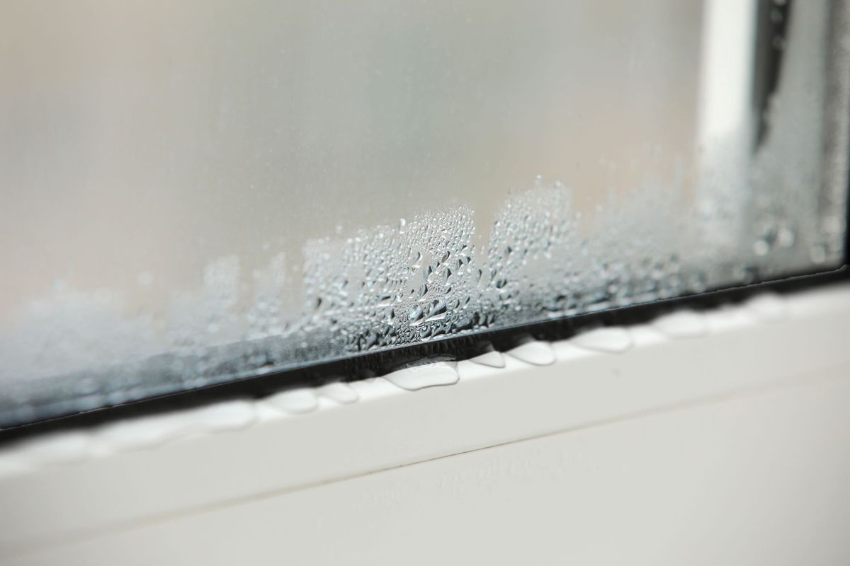 Window Condensation: Causes and Cures Explained | Homebuilding