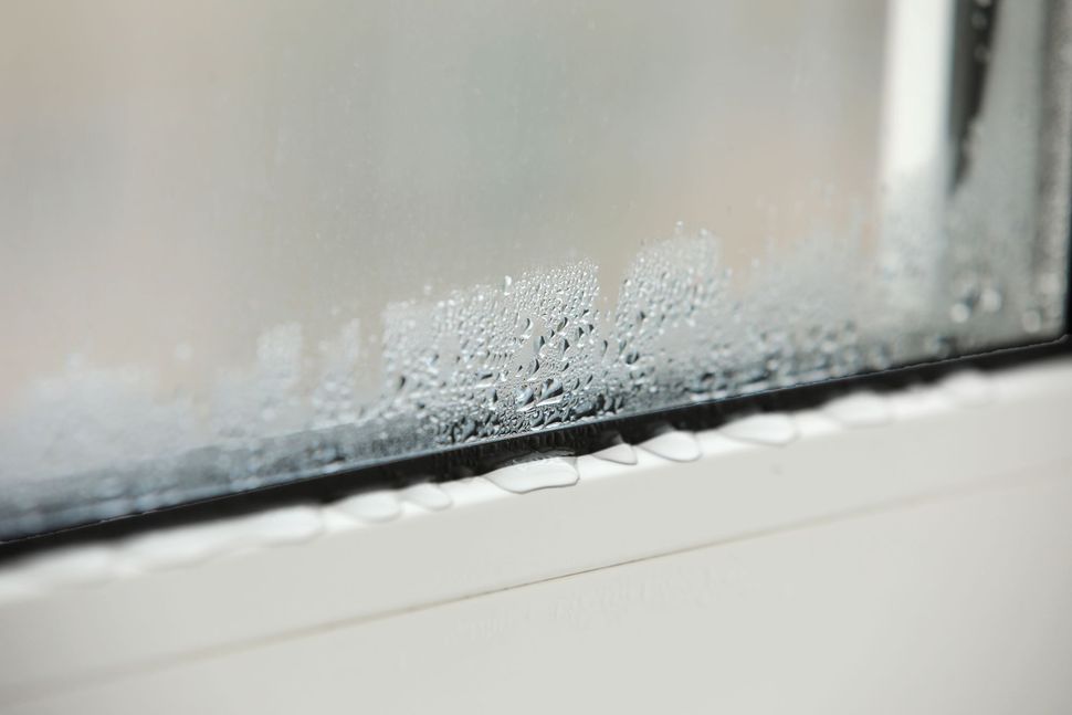 window-condensation-causes-and-cures-explained-homebuilding