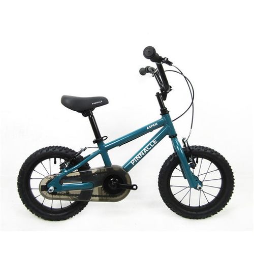 Aspen 14-Inch Kids Bike