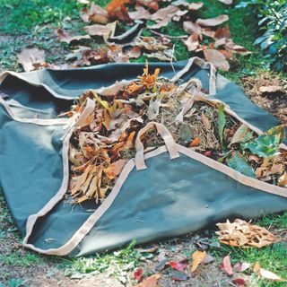 Bag of leaves sitting on the lawn in a garden