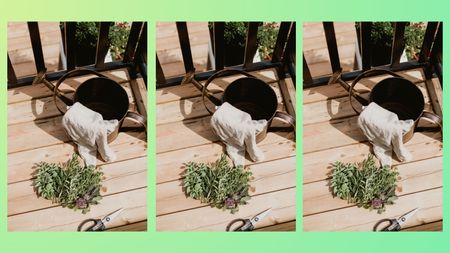 Watering can and herbs on a green background