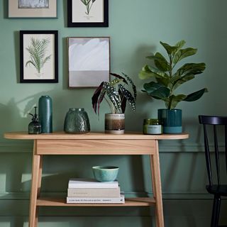 green wall with frames wooden desk with books and plant pots