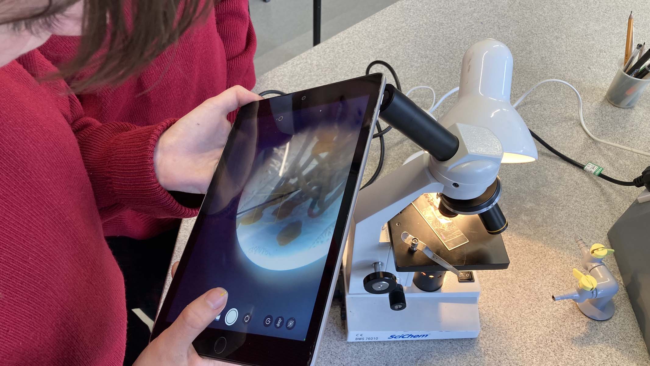 photographing a microscope specimen